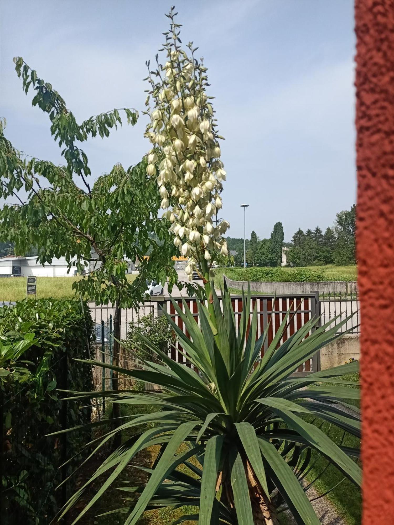 Appartamento Cjase Paola Cassacco Esterno foto